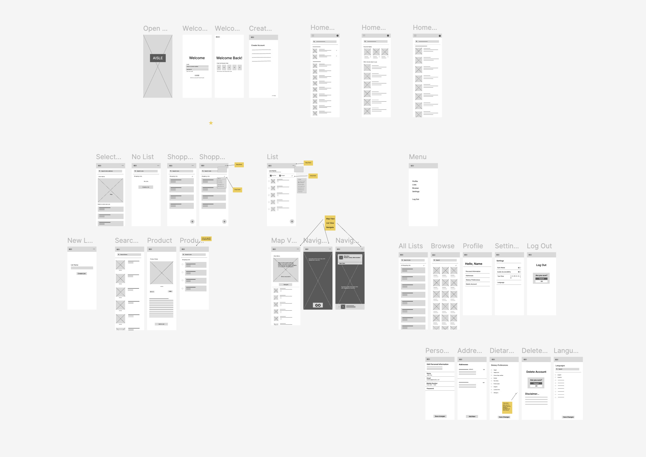 Full low-fidelity wireframe map